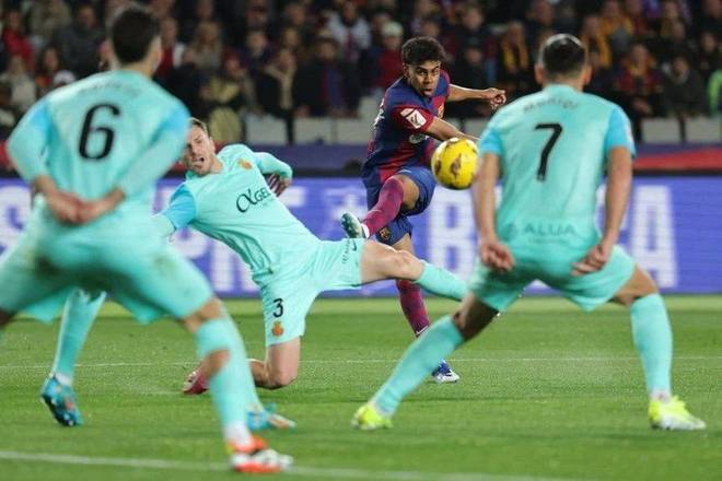 后续可能引 后续可能引